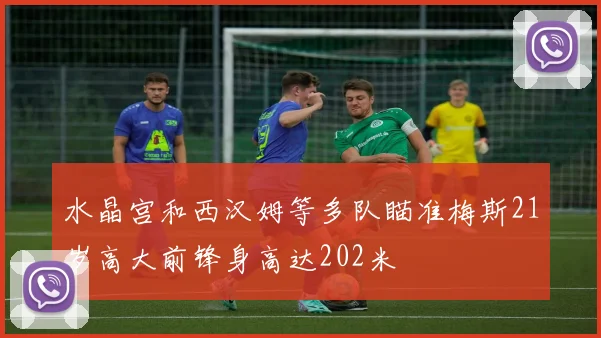 水晶宫和西汉姆等多队瞄准梅斯21岁高大前锋身高达202米
